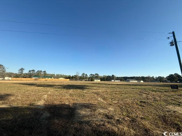 Lot B Lexyryan Court Latta, SC 29565 - Photo 7 of 12