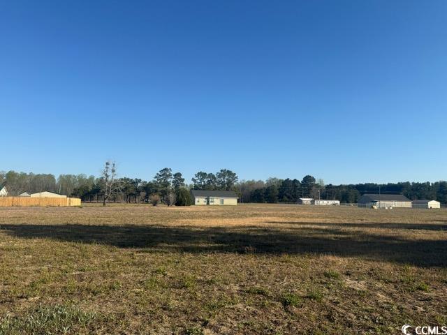 Lot B Lexyryan Court Latta, SC 29565 - Photo 8 of 12