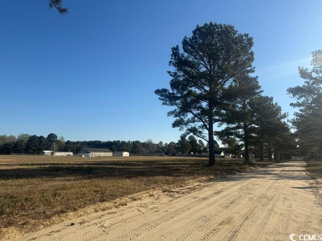 Lot B Lexyryan Court Latta, SC 29565 - Photo 9 of 12