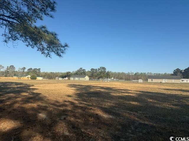 Lot B Lexyryan Court Latta, SC 29565 - Photo 10 of 12