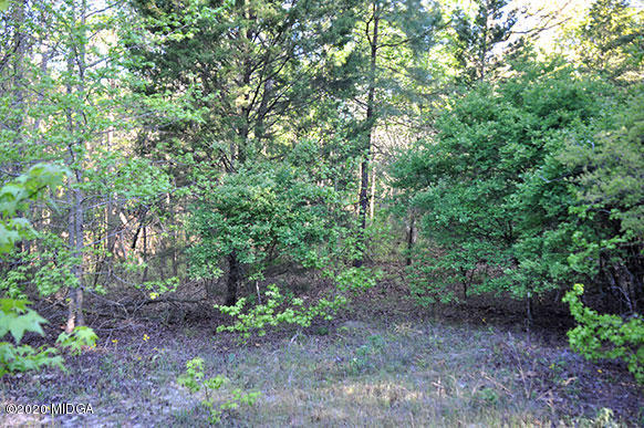 Lot B Jenkins Road Forsyth, GA 31029 - Photo 1 of 1 a view of a forest that has a tree