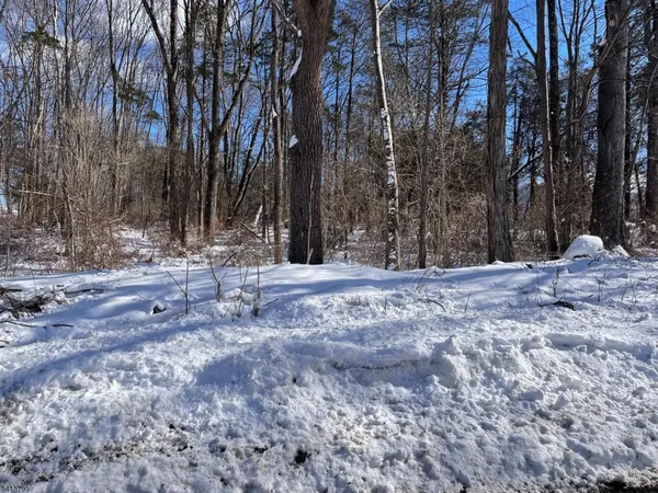 a view of covered with snow