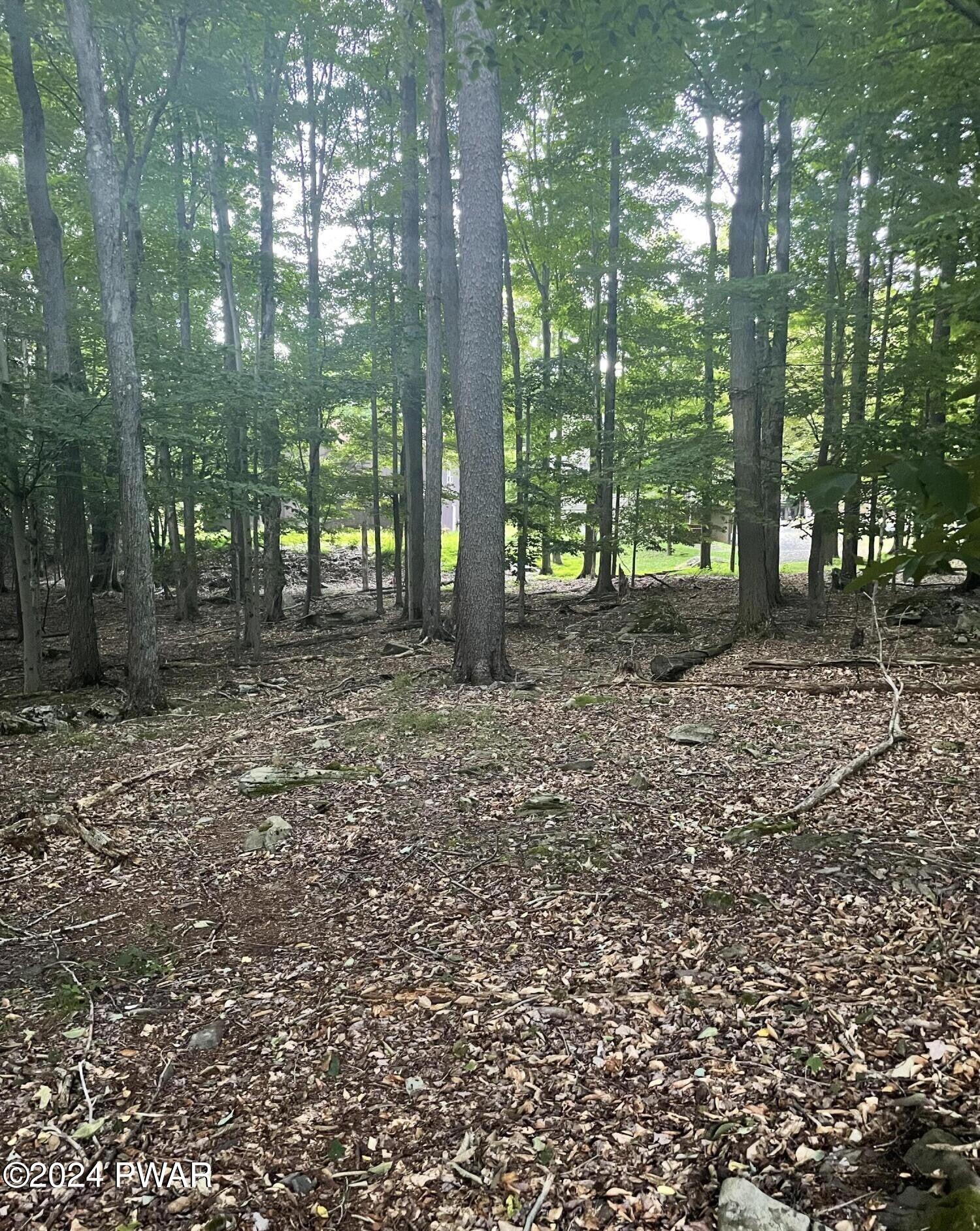 3 Deer Valley Road Lake Ariel, PA 18436 - Photo 4 of 25