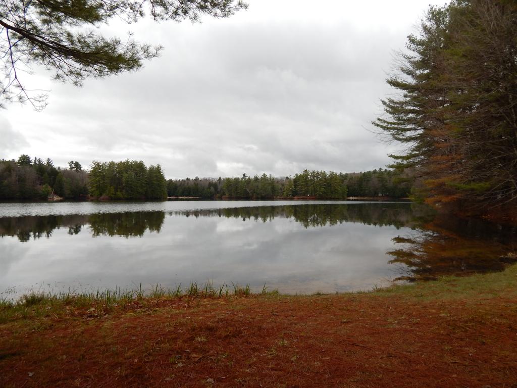 20 Dock Road Belmont, NH 03220 - Photo 20 of 24