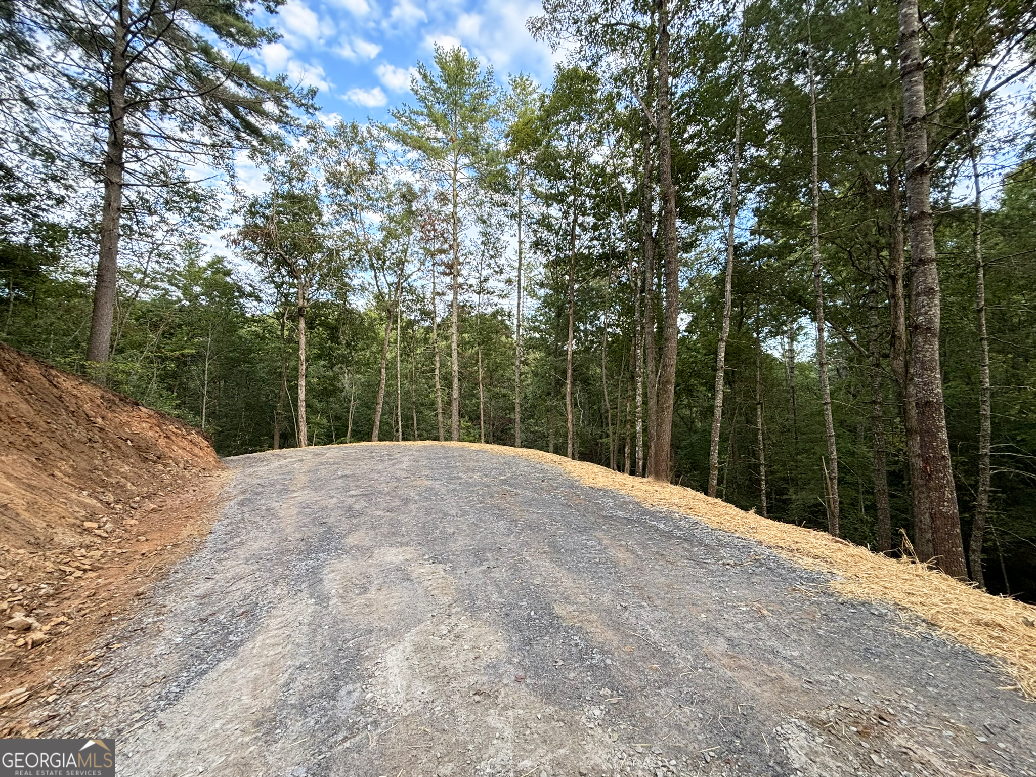 396 Mt Springer Road Ellijay, GA 30540 - Photo 31 of 50