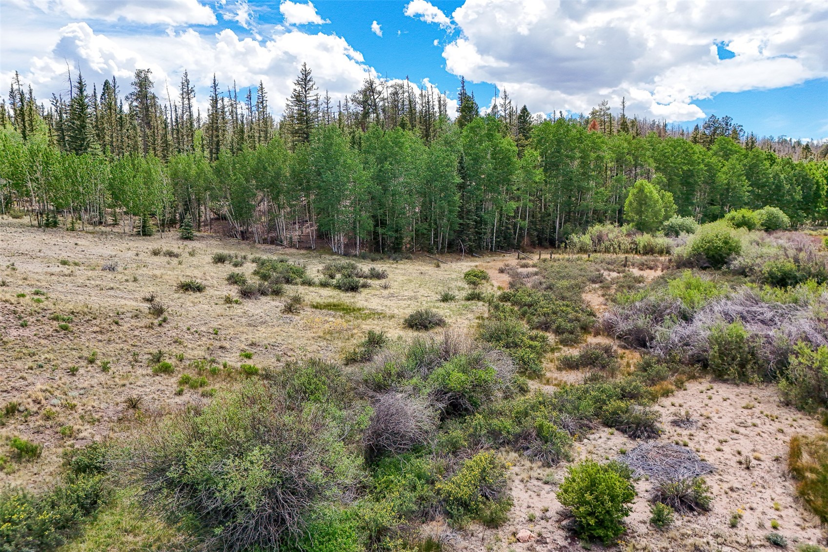 1111 Latigo Loop Hartsel, CO 80449 - Photo 3 of 20