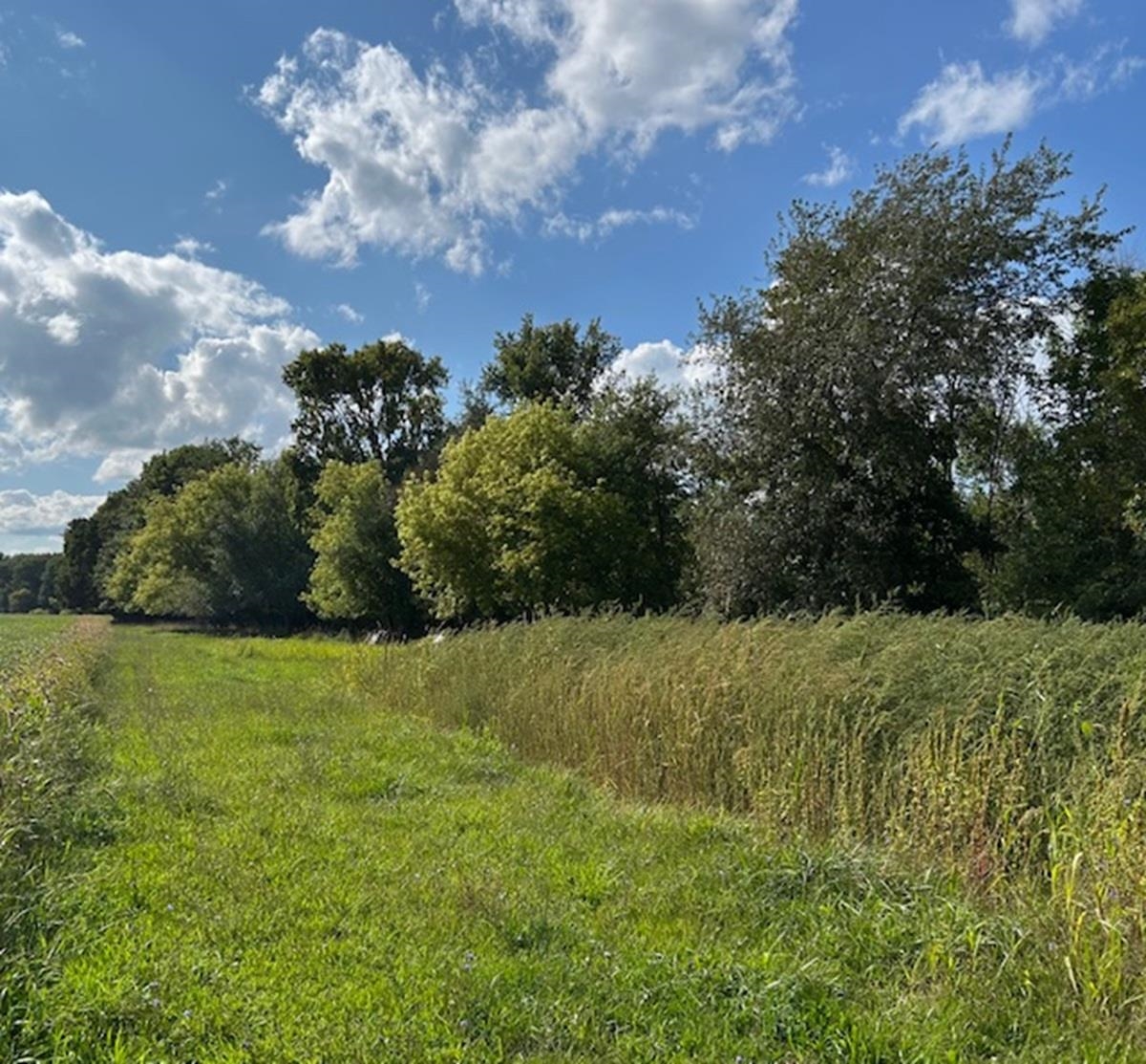 428 South Barry Road Ithaca, MI 48847 - Photo 11 of 15