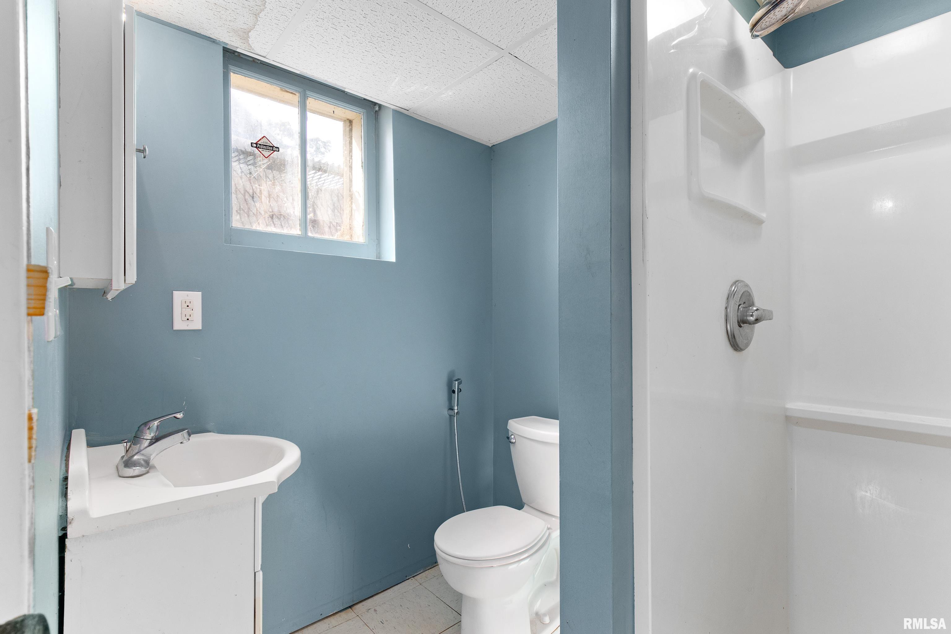 423 West High Street Peoria, IL 61606 - Photo 57 of 58