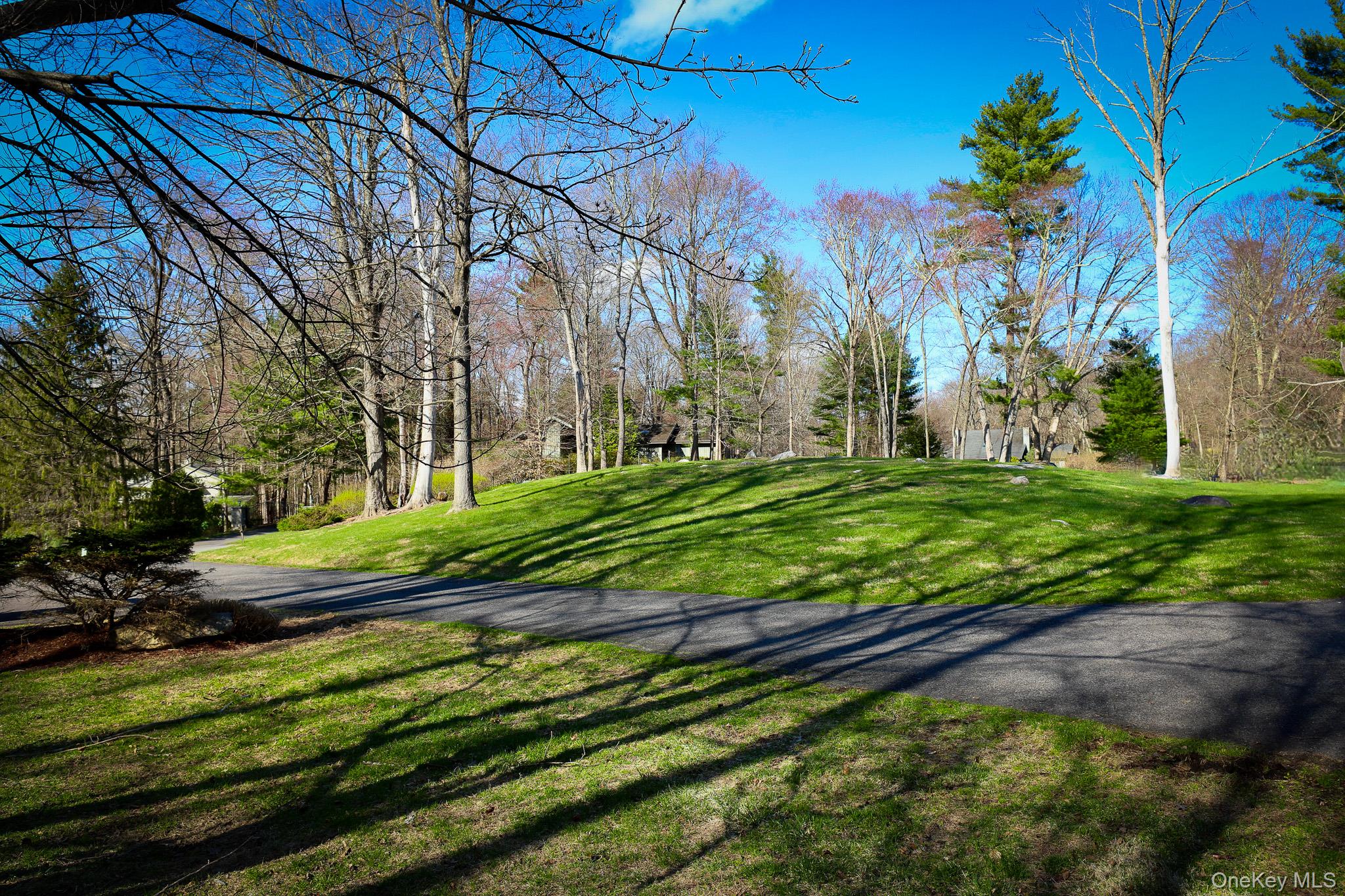 6 Bedell Road Amawalk, NY 10501 - Photo 2 of 41