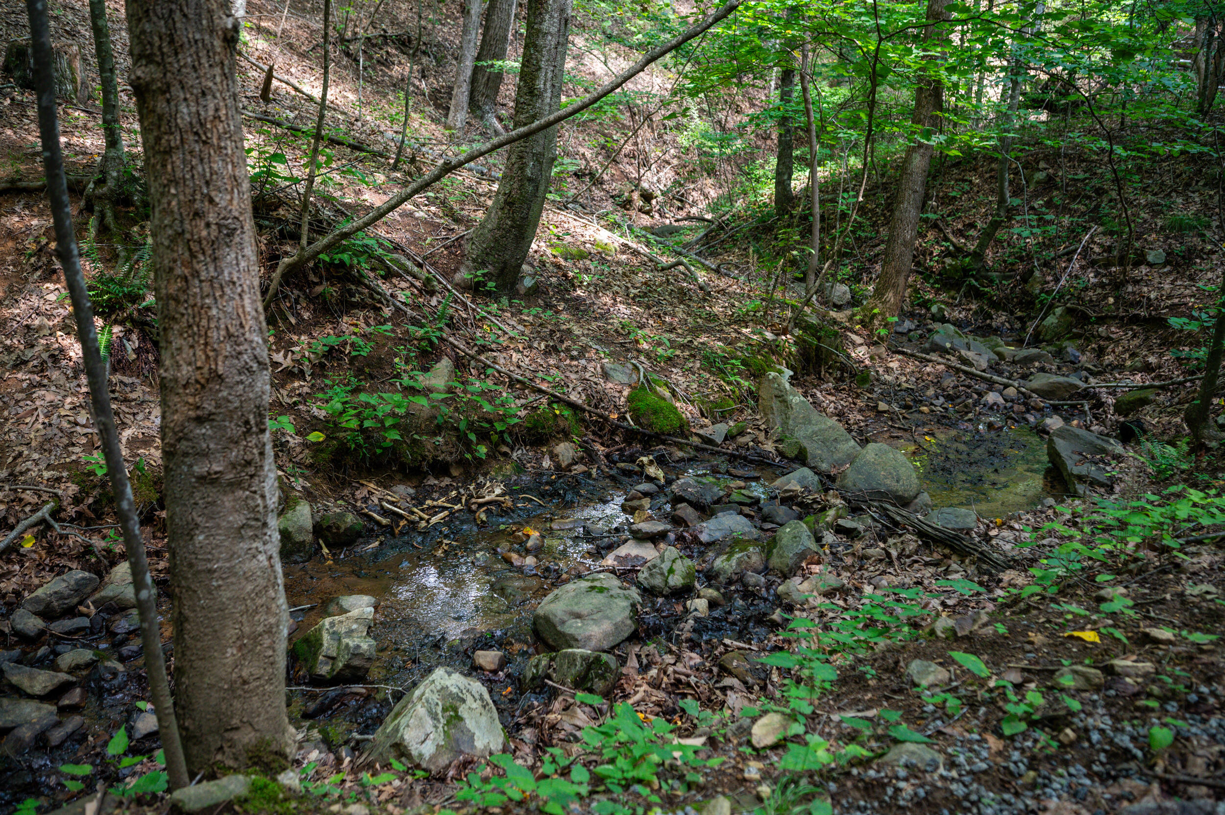 0 Adventure Mountain Road Montvale, VA 24122 - Photo 48 of 52 48_adventure_mountain_rd-40
