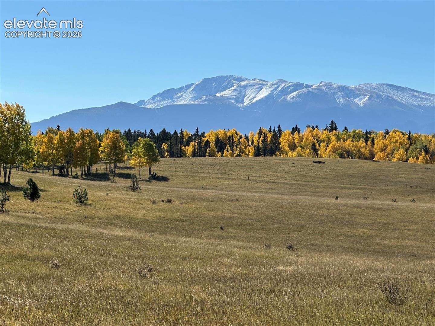 2940 NORTH Rd Divide Divide, CO 80814 - Photo 2 of 27 Gallery Image 2