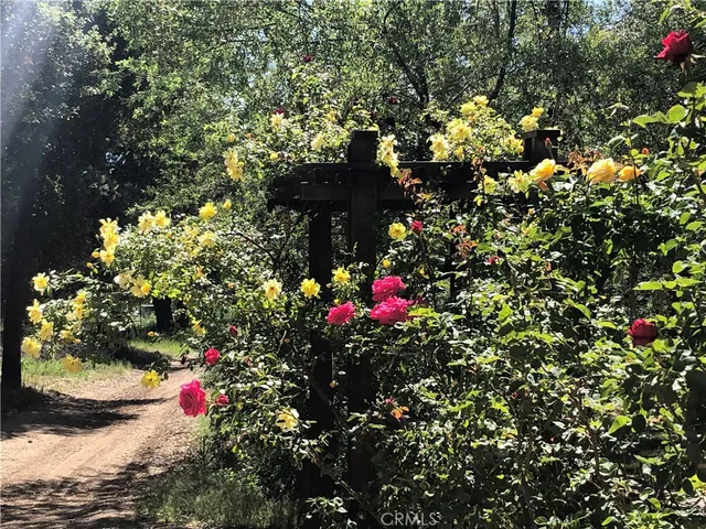 $1,600,000 | 29972 Chihuahua Valley Road, Warner Springs, CA 92086