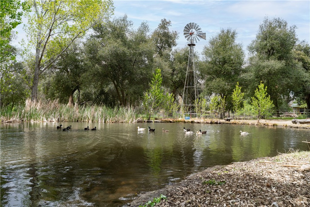 29972 Chihuahua Valley Road Warner Springs, CA 92086 - Photo 19 of 55 a view of lake
