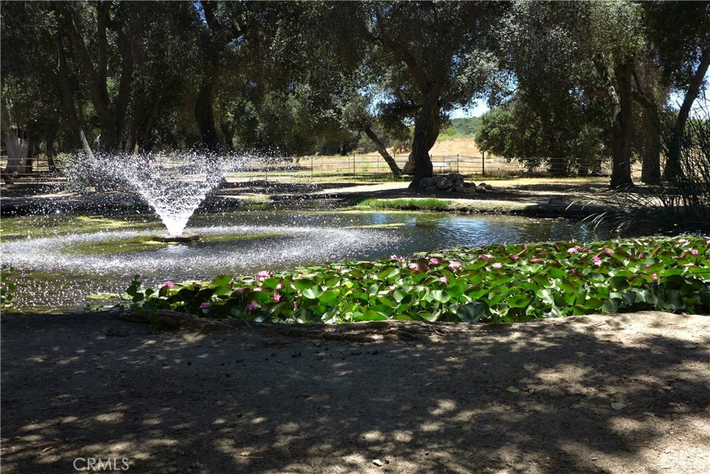 29972 Chihuahua Valley Road Warner Springs, CA 92086 - Photo 20 of 55 Pond with fountain and pastures in the background