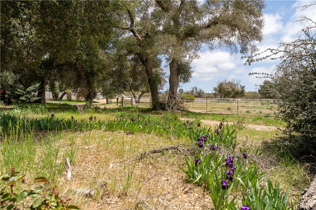 29972 Chihuahua Valley Road Warner Springs, CA 92086 - Photo 22 of 55 a view of a lake with a big yard