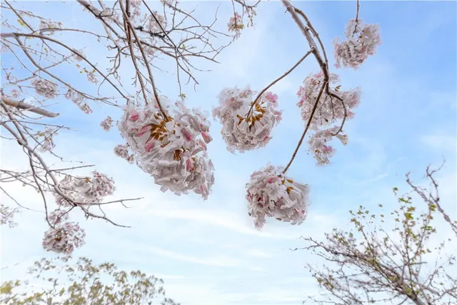 $1,600,000 | 29972 Chihuahua Valley Road, Warner Springs, CA 92086