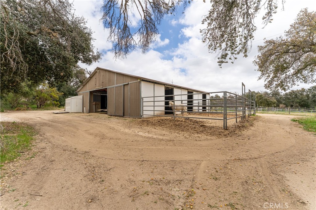 29972 Chihuahua Valley Road Warner Springs, CA 92086 - Photo 24 of 55 a view of a yard with large trees