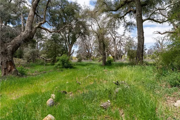 a view of yard with green space