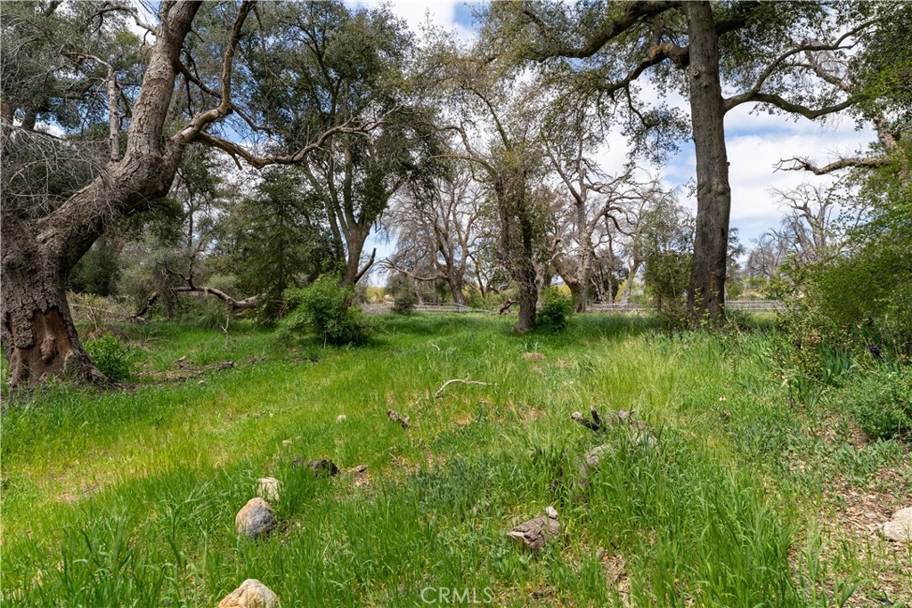 29972 Chihuahua Valley Road Warner Springs, CA 92086 - Photo 3 of 55 a view of yard with green space