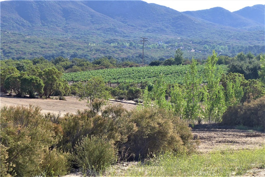 29972 Chihuahua Valley Road Warner Springs, CA 92086 - Photo 33 of 55 a view of outdoor space and yard