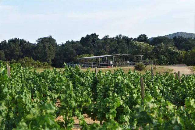 $1,600,000 | 29972 Chihuahua Valley Road, Warner Springs, CA 92086