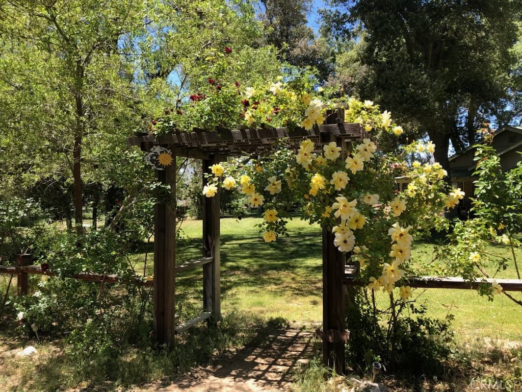 29972 Chihuahua Valley Road Warner Springs, CA 92086 - Photo 4 of 55 a view of a tree in a yard