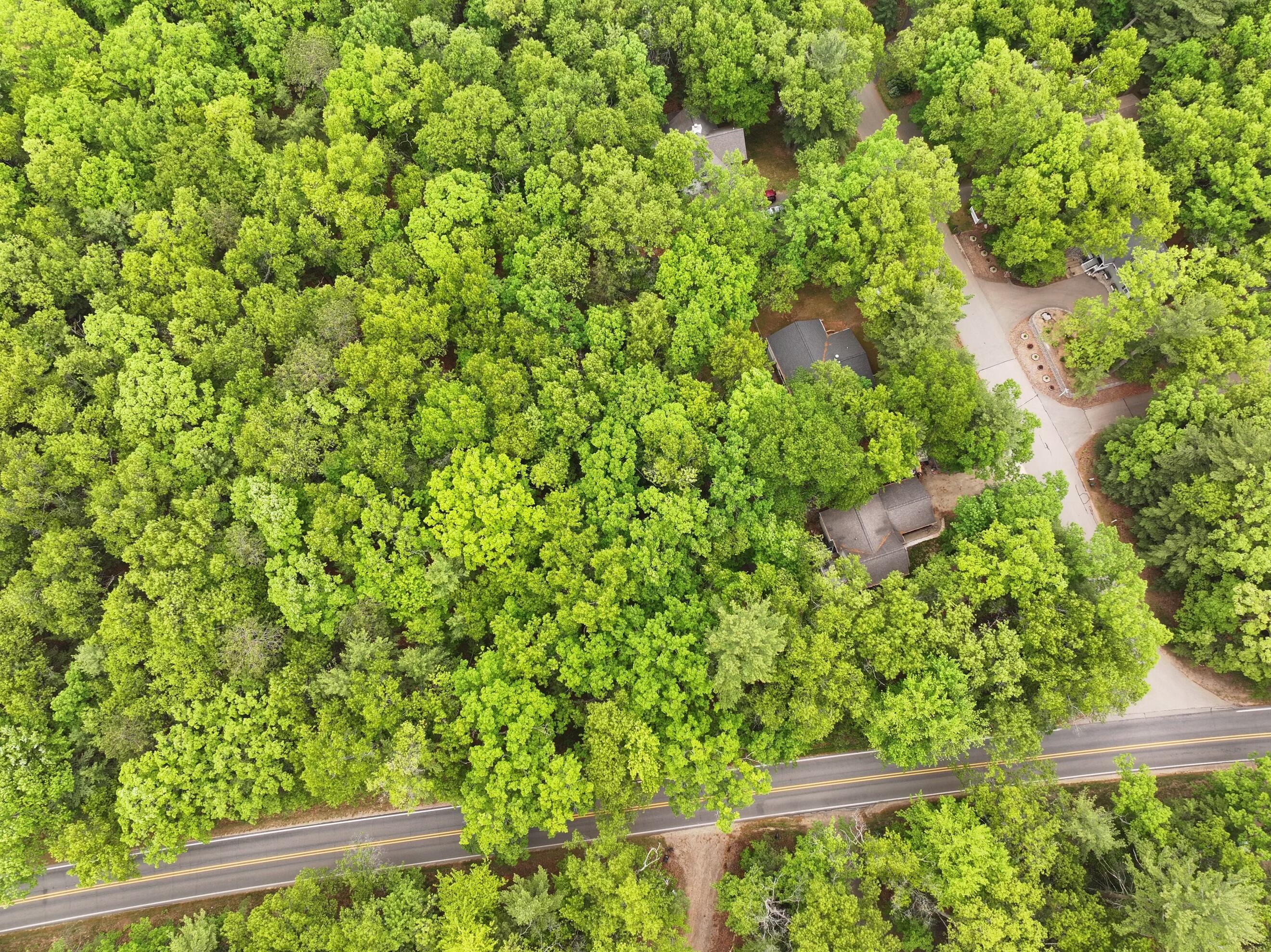 Lot 38 Longbridge Road Pentwater, MI 49449 - Photo 12 of 13 dji_fly_20240526_152826_0190_17167520674
