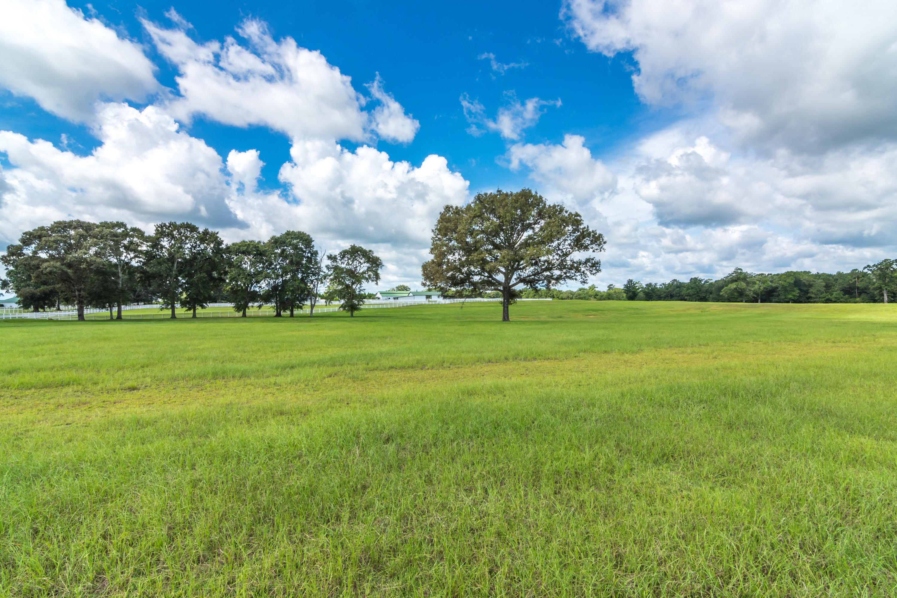 5676 Highway 2 DeFuniak Springs, FL 32433 - Photo 19 of 66 5676 W STATE HWY 2-38