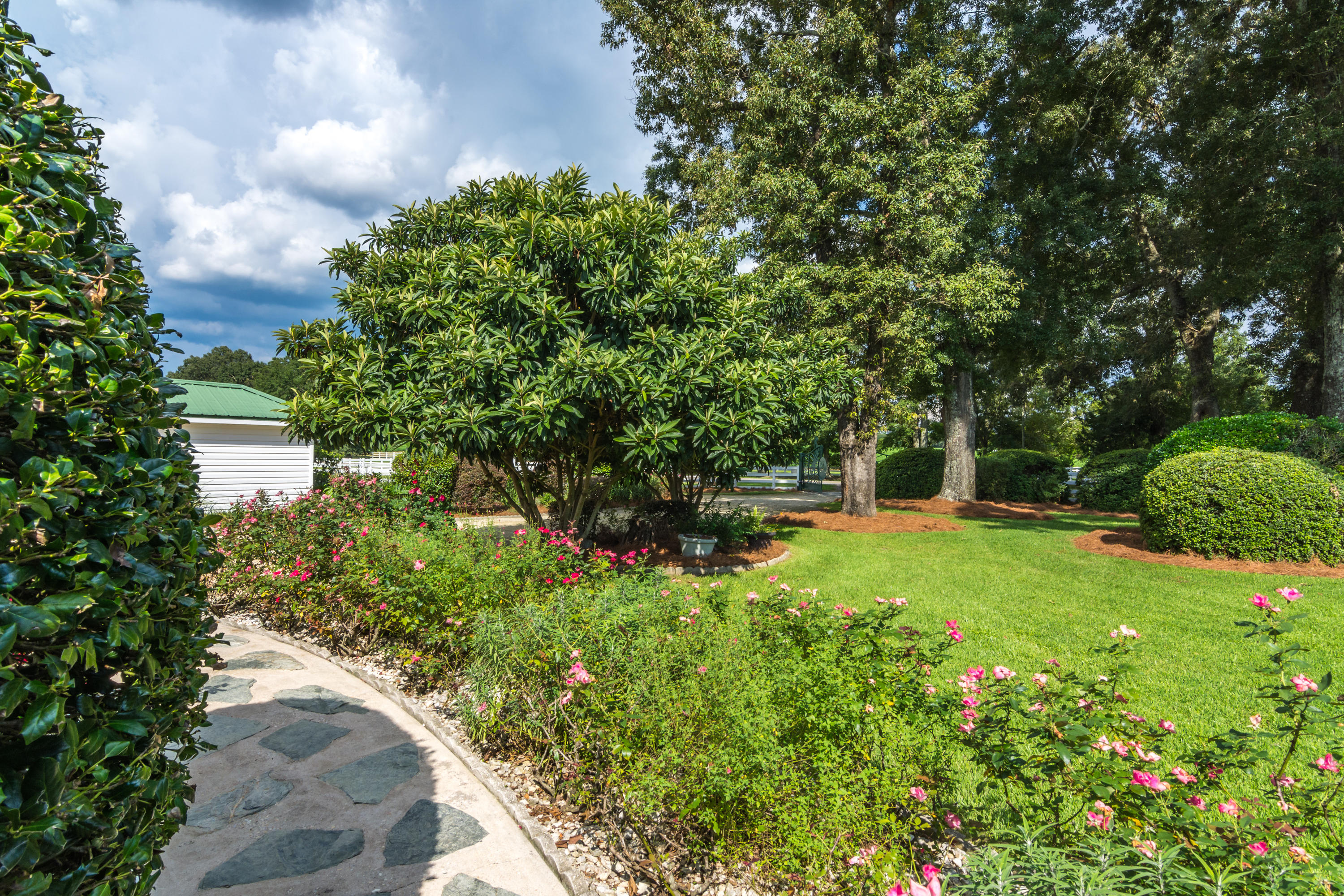 5676 Highway 2 DeFuniak Springs, FL 32433 - Photo 30 of 66 a view of a garden with plants
