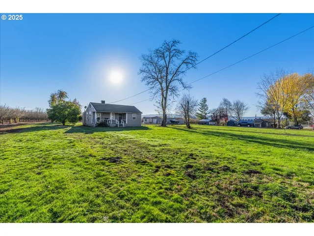 a view of a field with an trees