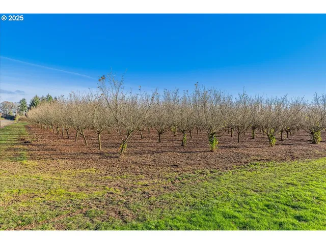 a view of outdoor space and yard