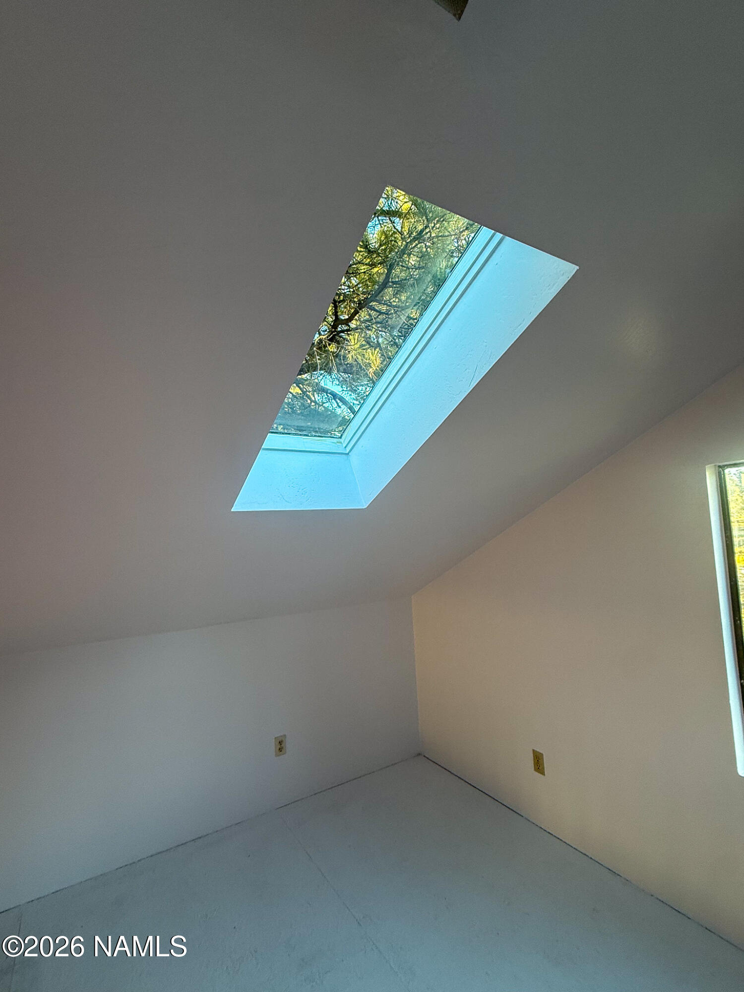 4540 Forrest Ranches Loop Parks Parks, AZ 86018 - Photo 41 of 61 IMG_9817