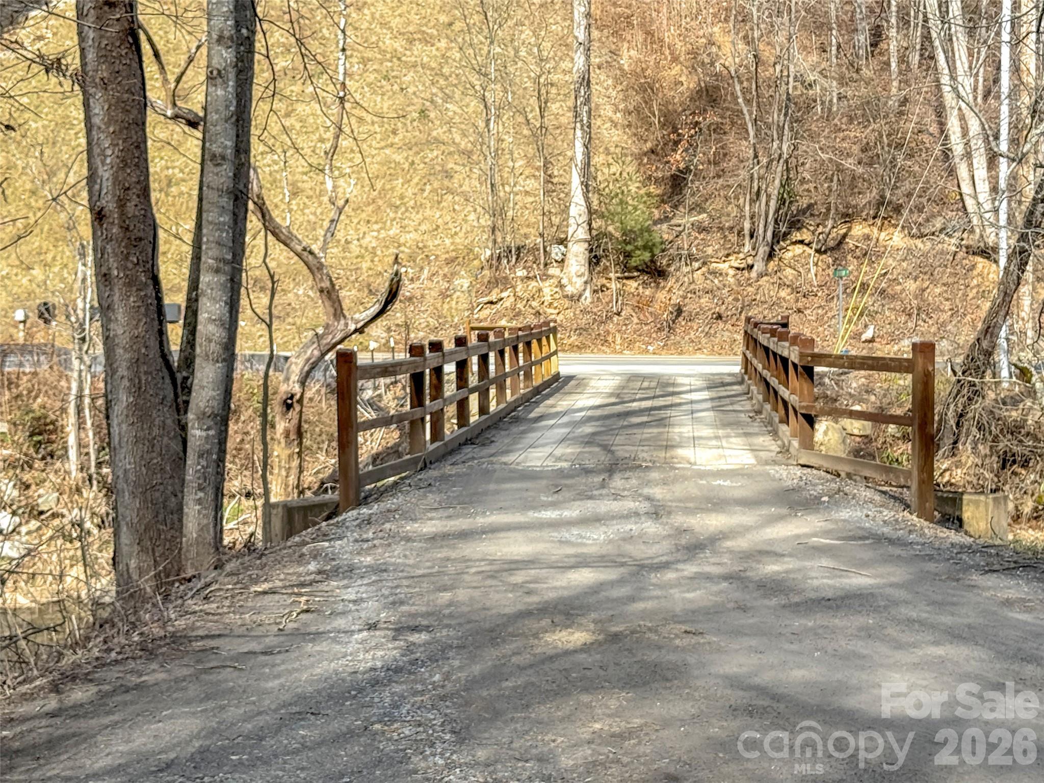 0 Seay Mountain Road Waynesville, NC 28785 - Photo 16 of 17