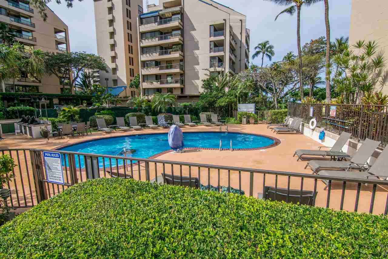 4327 Lower Honoapiilani Road, Unit 804 Lahaina, HI 96761 - Photo 21 of 26 Gallery Image 21