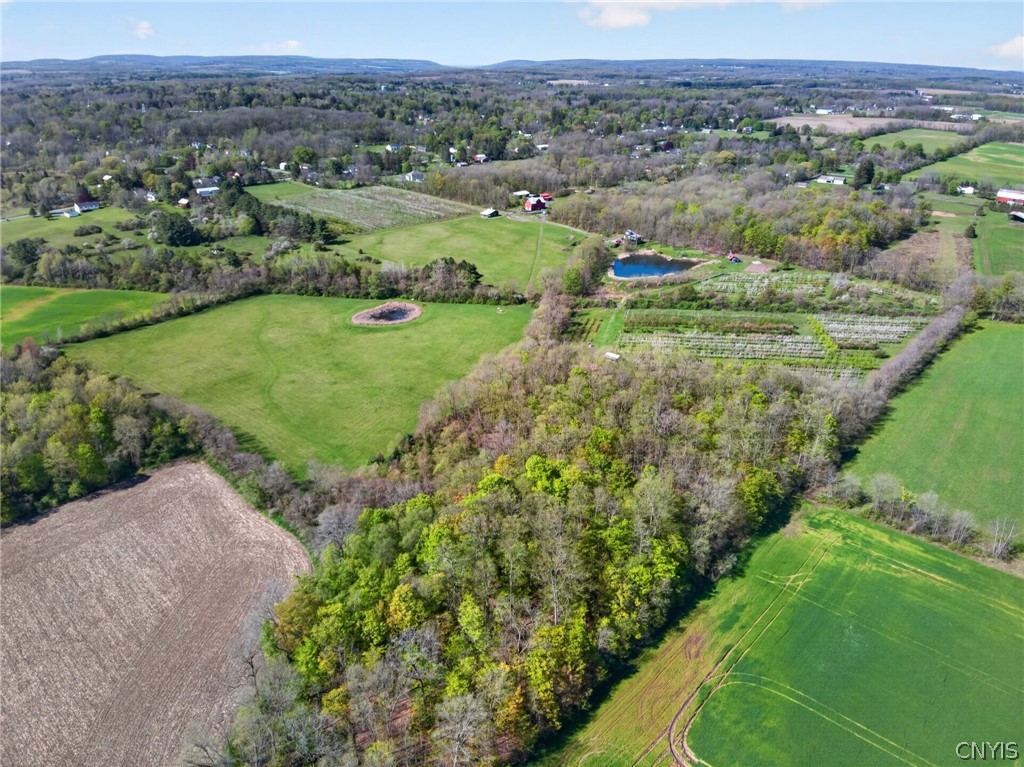 4675 Seneca Road Covert, NY 14886 - Photo 5 of 50