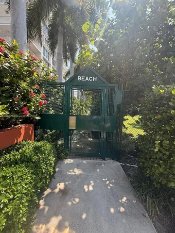 a view of a bunch of flowers