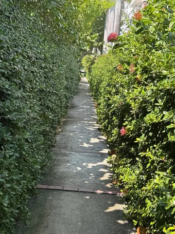 a view of a pathway both side of yard