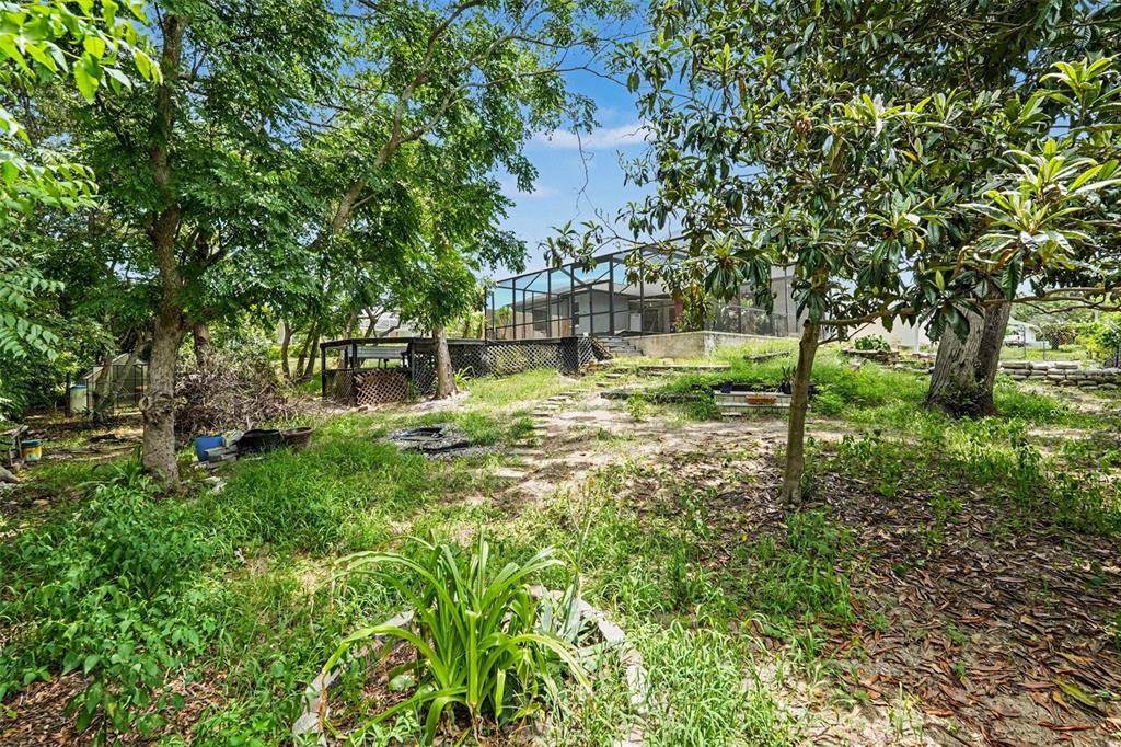 6233 Penna Street Spring Hill, FL 34609 - Photo 26 of 28