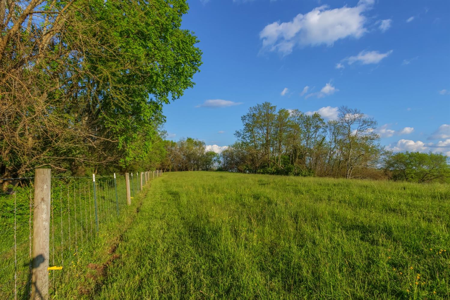 4572 Ecton Road Winchester, KY 40391 - Photo 51 of 69 Photo 51