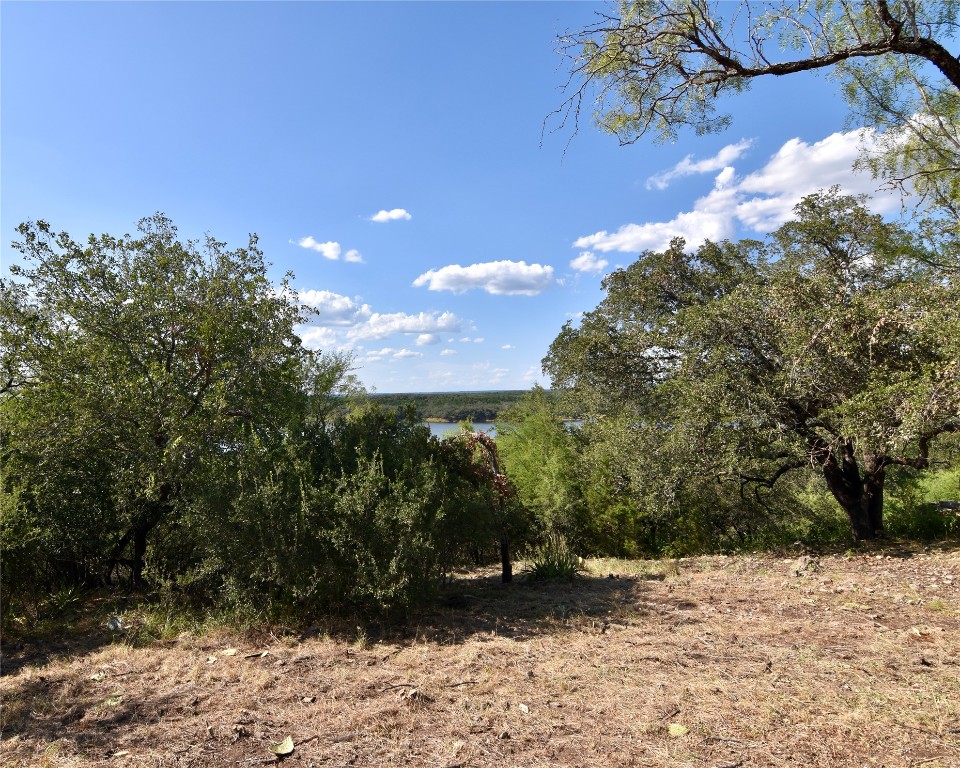 637 Wesley Ridge Drive Spicewood, TX 78669 - Photo 12 of 26 This lot offers convenient access to underground utilities, with service boxes already in place. Connecting to essential utilities will be a straightforward process, simplifying your plans to build your new home.