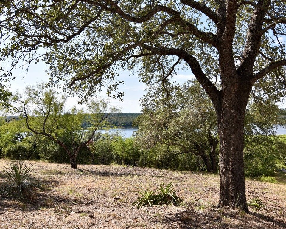 637 Wesley Ridge Drive Spicewood, TX 78669 - Photo 6 of 26 Enjoy the natural surroundings and easy access to community amenities, all while being just moments from outdoor recreation on Lake Travis.