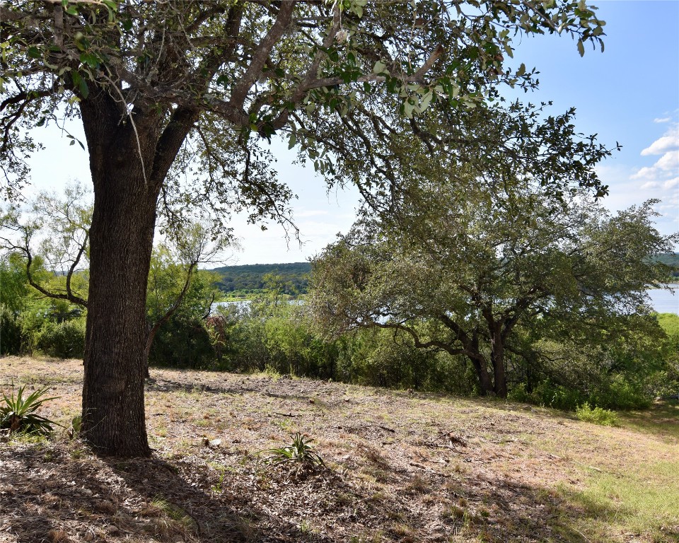 637 Wesley Ridge Drive Spicewood, TX 78669 - Photo 9 of 26 Design your home around this oak and enjoy Lake Travis stretching out beyond.