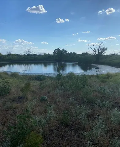 a view of a lake from a yard