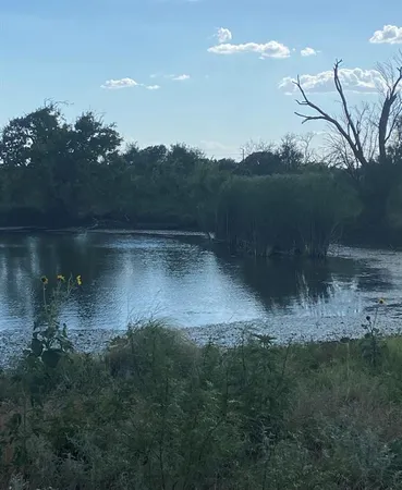 a view of outdoor space and yard