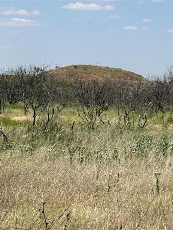 0 Terrapin Olney, TX 76374 - Photo 18 of 28