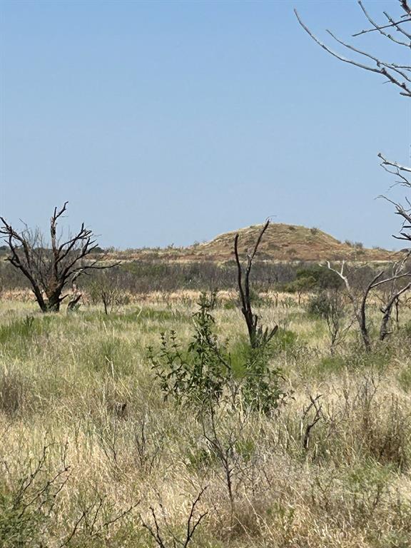 0 Terrapin Olney, TX 76374 - Photo 19 of 28 a view of a field