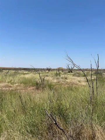 a view of a back yard