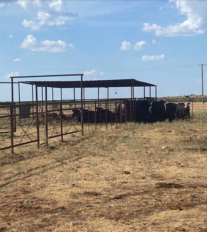 0 Terrapin Olney, TX 76374 - Photo 8 of 28 a view of a yard