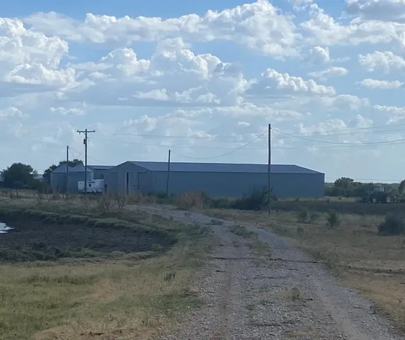 a view of a dry yard