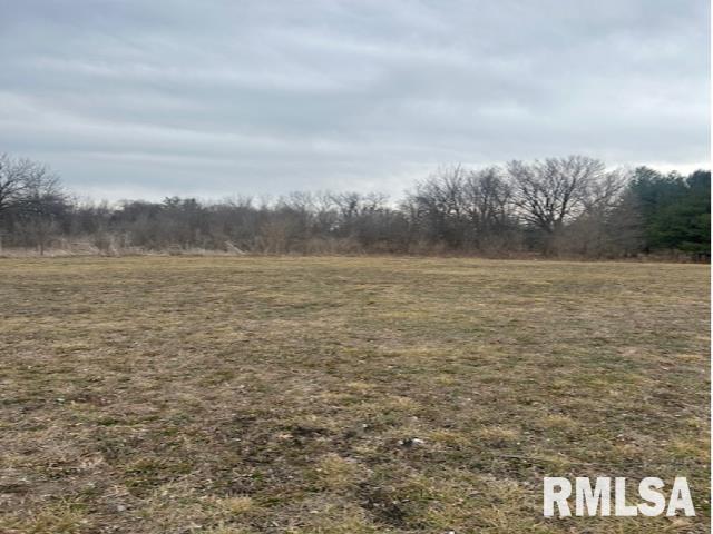 South Park Avenue Springfield, IL 62704 - Photo 3 of 3